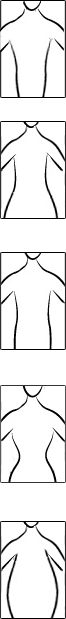 Body type